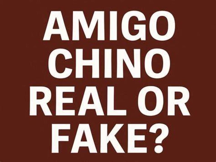 Amigo Chino Fake: Unveiling the Truth Behind the Trend
