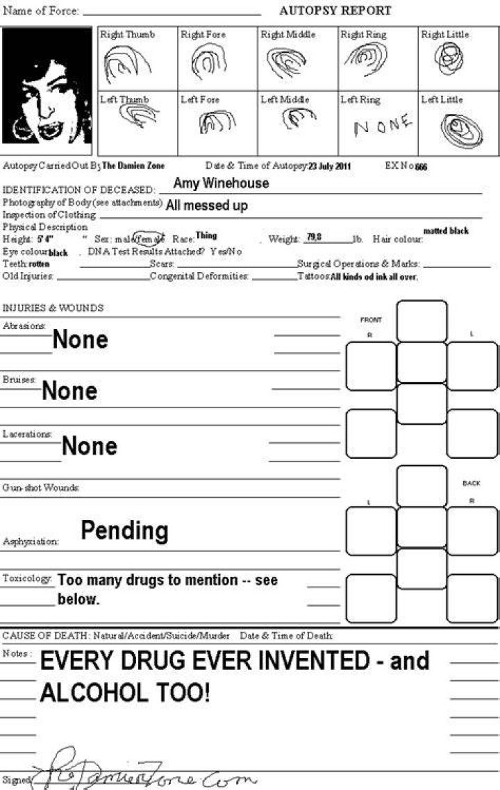 Amy Winehouse Autopsy: A Comprehensive Analysis