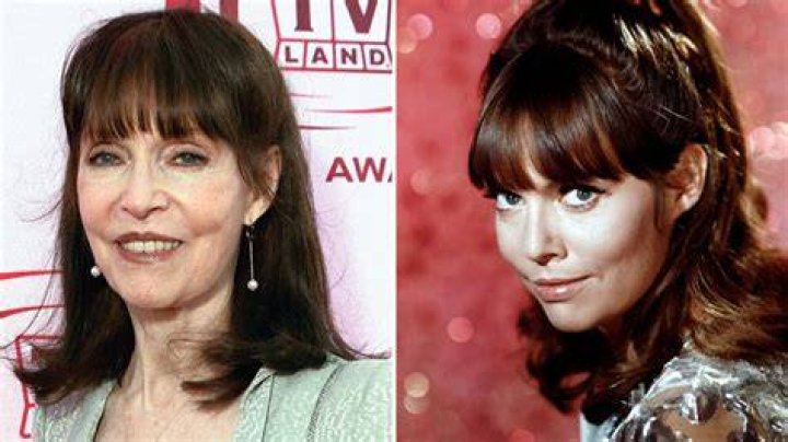 Barbara Feldon Today: A Look at Her Life Now