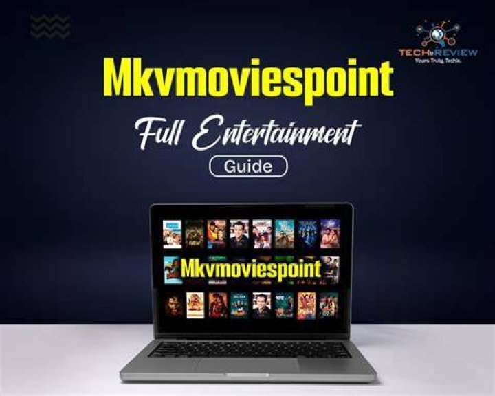 Best MKVMoviesPoint Team Resources & Support