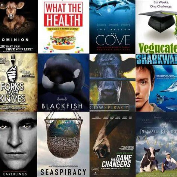 Best Vegan Movies and Documentaries on Vegamoviesorg