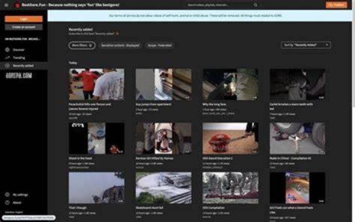 Bestgore.com: Exploring the Controversial Side of Online Content