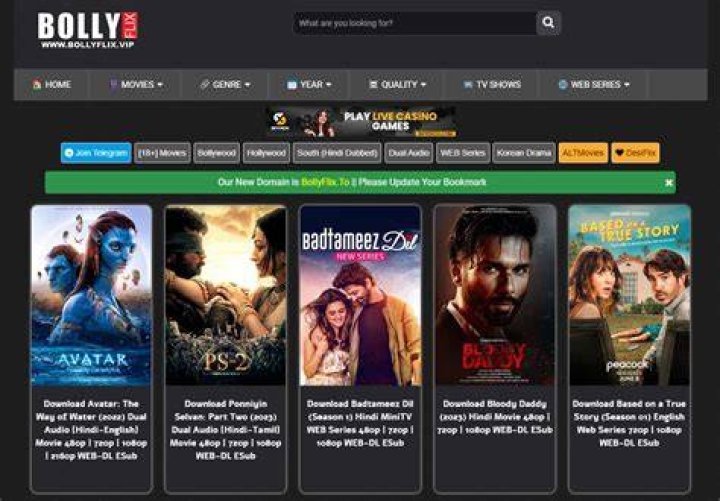 Bollyflix.meme: The Ultimate Guide to Streaming Bollywood Movies