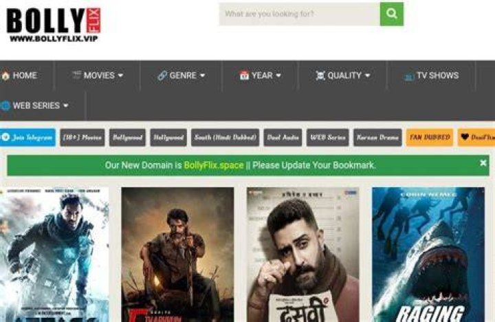 Bollyflix XYZ: Your Ultimate Destination for Bollywood Entertainment