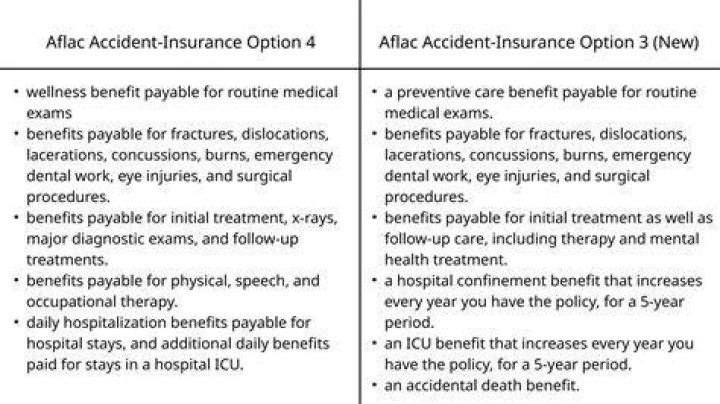 Comprehensive Guide to Aflac Accident Policy: Everything You Need to Know