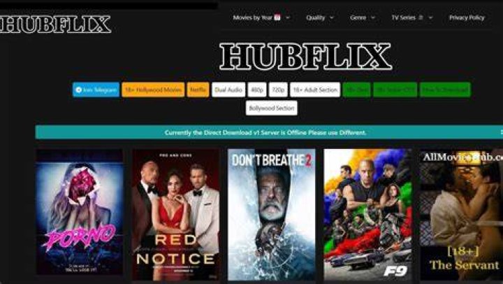 Discover the Best Entertainment on Hubflix.in: Your Ultimate Streaming Guide