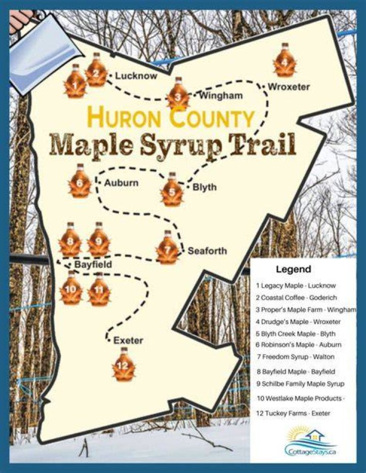 Discover the Magic of Maple Star: Your Guide to Nature's Sweet Secret