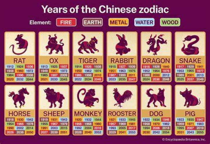 Discover the Mystical Secrets of the 1991 Element Chinese Zodiac: Unveiling Your Destiny