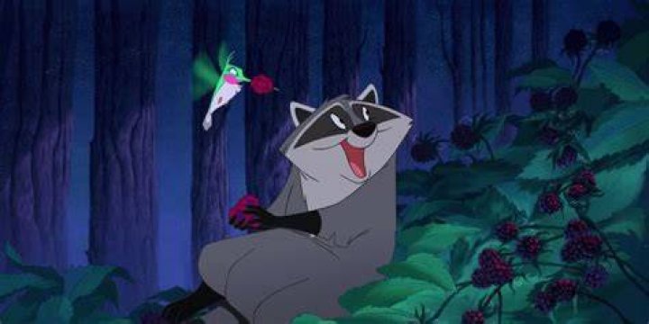 Discovering the Magic: Raccoon in Pocahontas &ndash; A Deep Dive into the Iconic Character