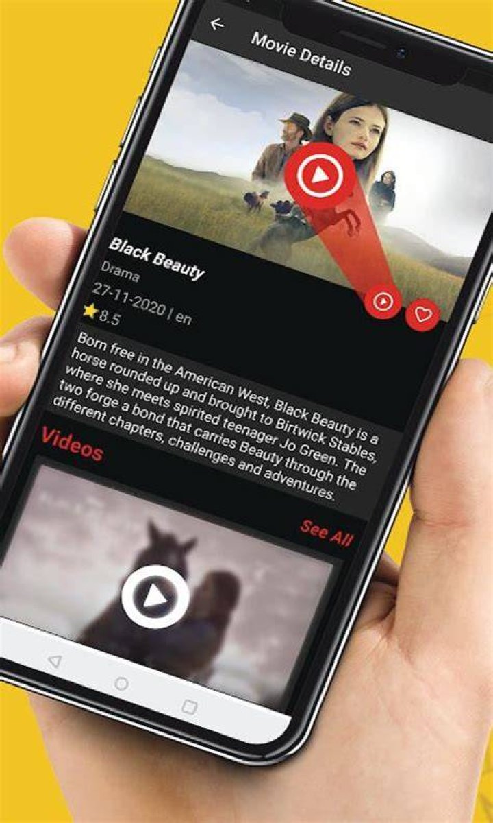 Download Movie Hub: Your Ultimate Guide to Legal Streaming and Downloading Movies