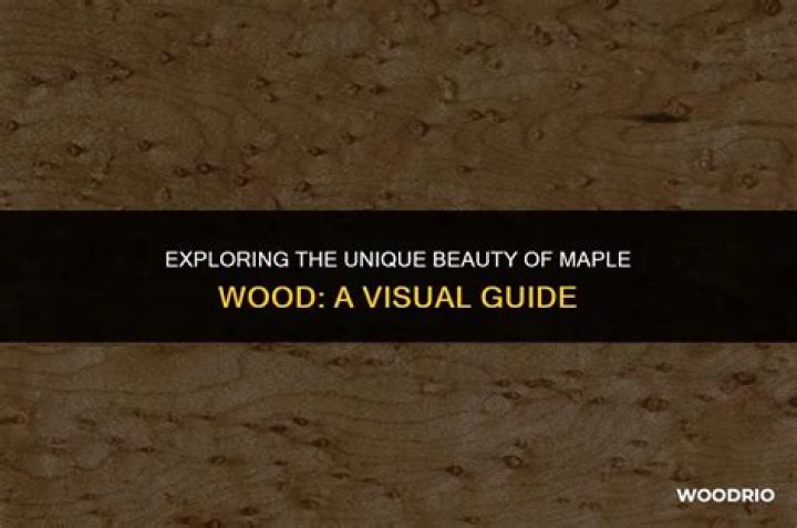 Exploring the Beauty of Maple Stars Art: A Comprehensive Guide
