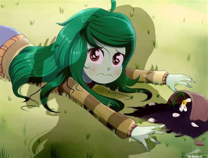 Fallen Booru: All the Lost Images