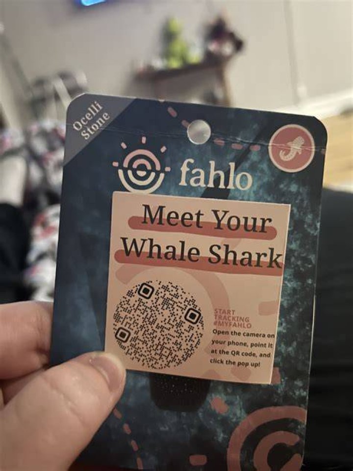 Free Fahlo QR Codes: Unlocking Convenience and Security in Everyday Life