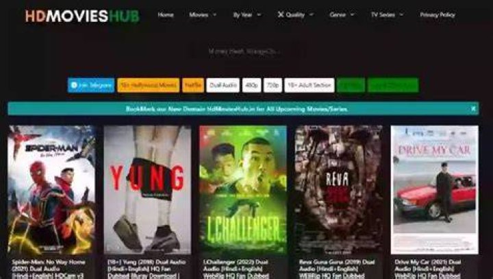 HDMoviesHub 300MB Movies, 720p Download: Your Ultimate Guide to Streaming Movies
