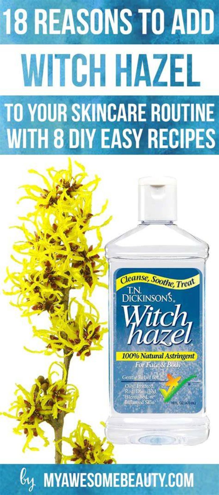 How Long Is Witch Hazel Good For: Shelf Life and Usage Tips