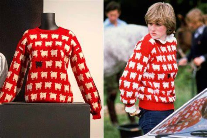 Iconic Princess Diana Sweaters: Style & Finds