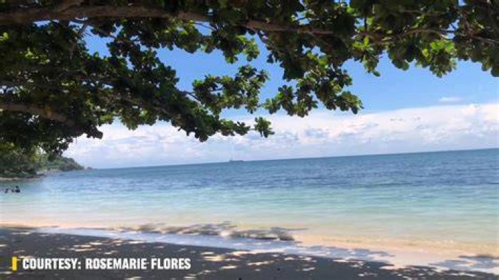 Jonas Bronck Beach: A Hidden Gem for Adventure and Relaxation