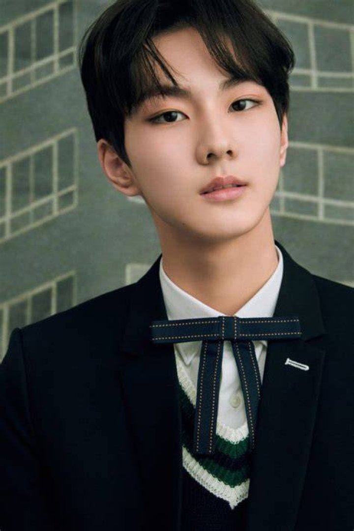 Jungwon ENHYPEN Age: The Rising K-Pop Star's Journey and Impact