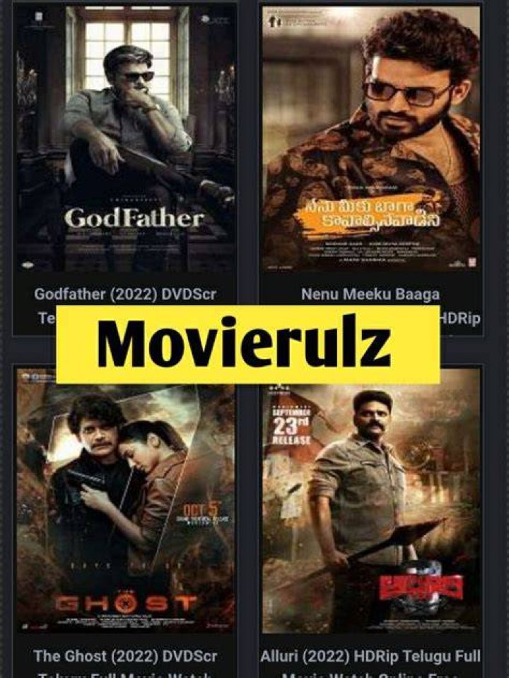 Latest Bollywood Movies on Movierulz Dev: A Comprehensive Guide