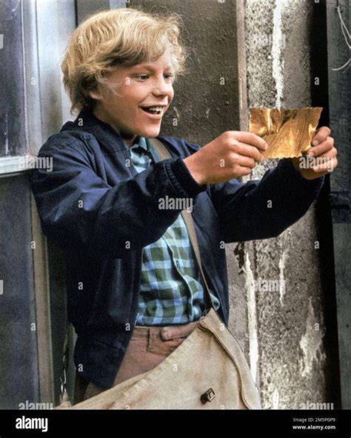 Meet Charlie Bucket: Willy Wonka's Lucky Winner!