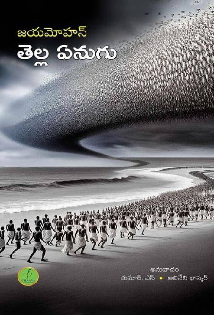 movierulz తెలుగు: A Comprehensive Guide to Understanding the Phenomenon
