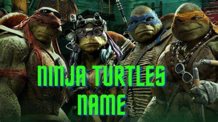 Ninja Turtle Name: A Comprehensive Guide to the Iconic Teenage Mutant Ninja Turtles