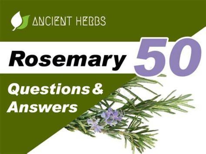 Rosemary Elicolan: A Comprehensive Guide to Her Life, Achievements, and Influence