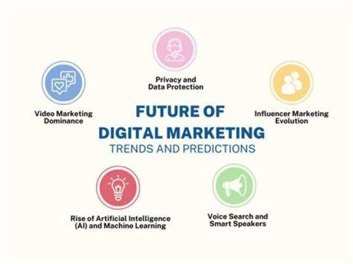 Samplette IO: Revolutionizing the Future of Digital Marketing and Analytics