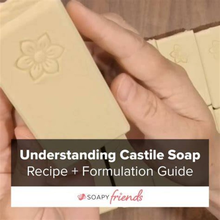 Soapy Booby: A Comprehensive Guide to Understanding and Utilizing This Versatile Cleaning Agent