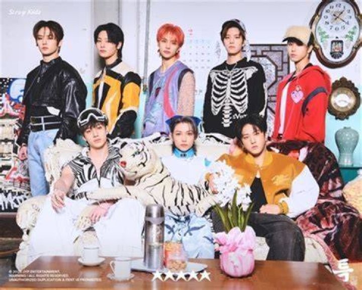 Stray Kids: The Rising Stars of K-Pop