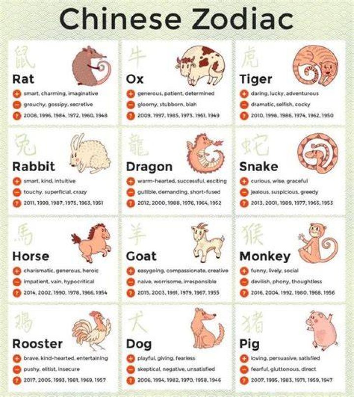 Understanding the 1991 Chinese Zodiac Personality: Traits and Insights
