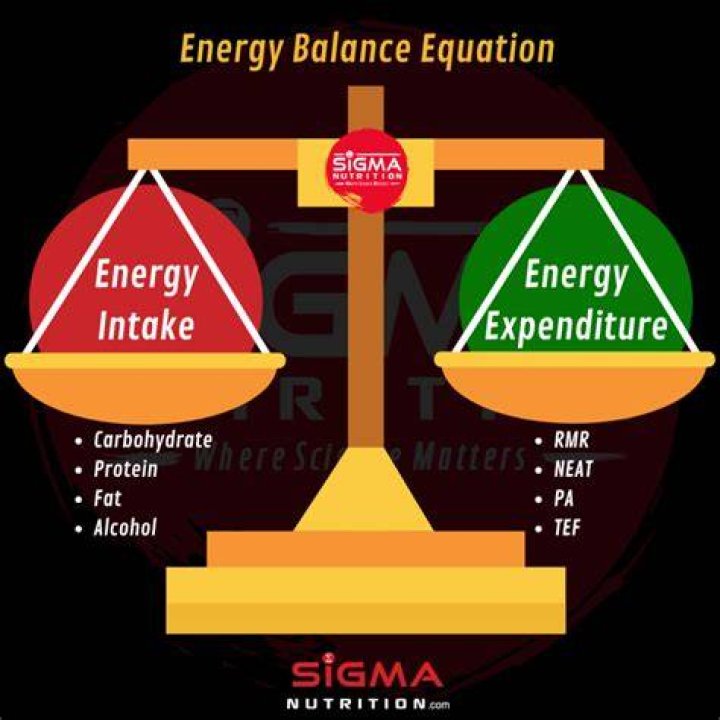 Understanding the Meaning of kcal: A Comprehensive Guide to Calories and Energy