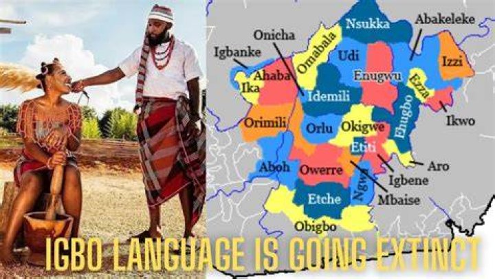 Understanding the Meaning of Odogwu in Igbo Language
