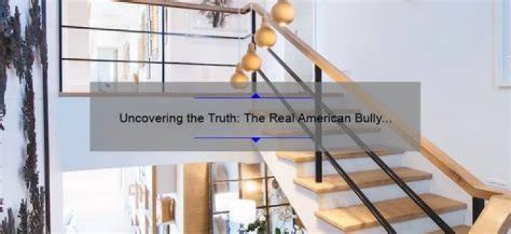 Unpacking the Truth About Ts Bedroom Bully: A Comprehensive Guide