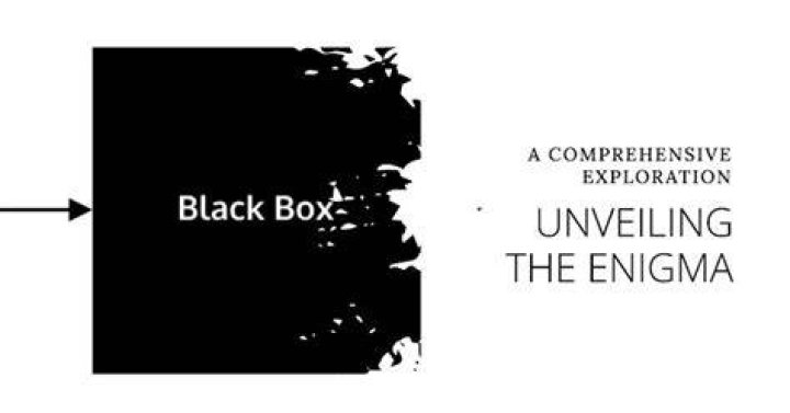 Unveiling the Enigma: A Comprehensive Exploration of Andy Ngo X