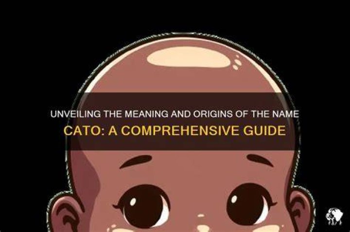 Unveiling the Meaning of Palang Tod: A Comprehensive Guide