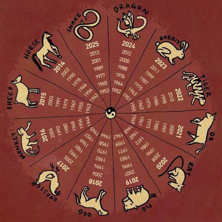 Unveiling the Mysteries of the Year 1991 Chinese Zodiac: Insights and Predictions