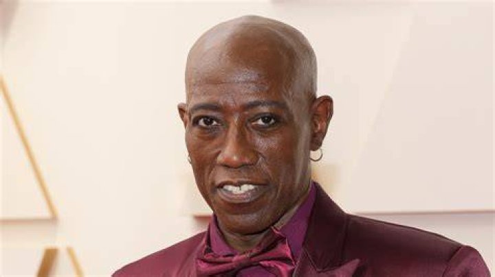 Wesley Snipes Allegations: Unveiling the Truth Behind the Controversies
