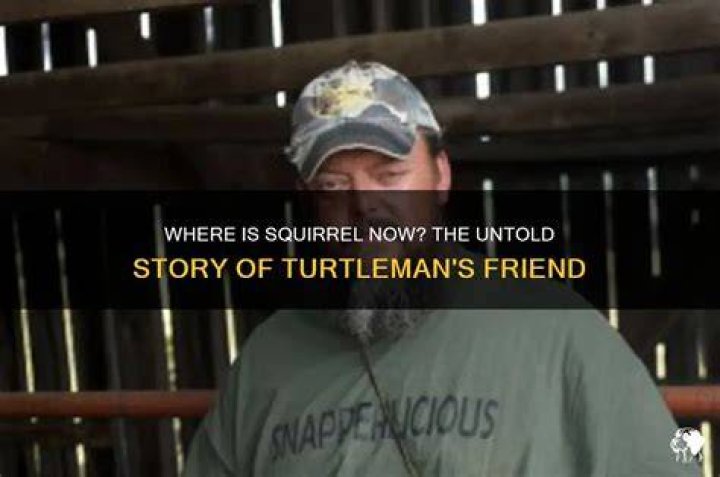 What Happened to Turtleman: The Untold Story of a Hero Who Changed the World