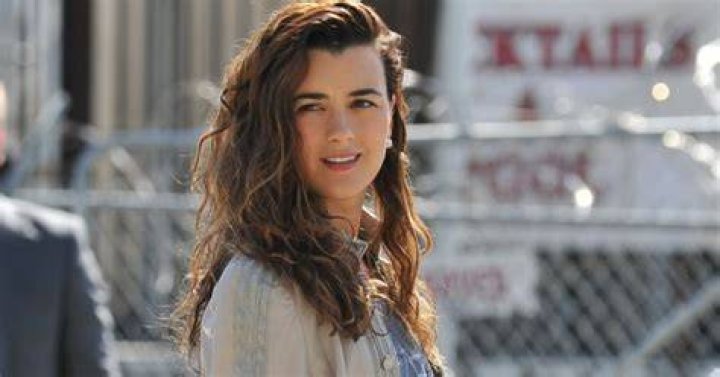 Who Is Ziva David's Partner? Cote de Pablo's Relationship